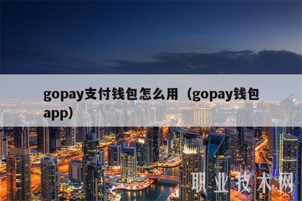 gopay支付钱包怎么用（gopay钱包app）-第1张图片-欧易下载