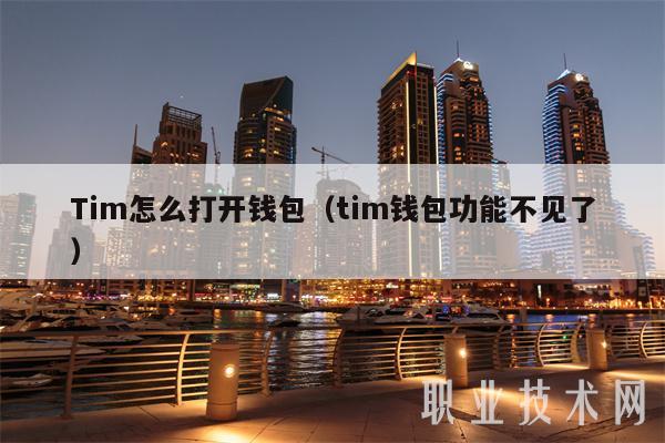 Tim怎么打开钱包（tim钱包功能不见了）-第1张图片-欧易下载