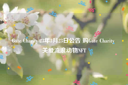 Gate Charity 23年3月23日公告 购Gate Charity 关爱流浪动物NFT-第1张图片-欧易下载