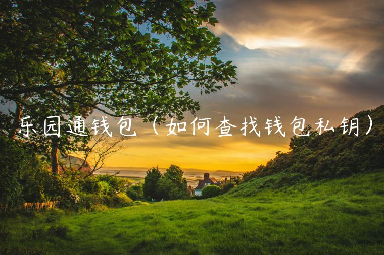 乐园通钱包（如何查找钱包私钥）-第1张图片-欧易下载