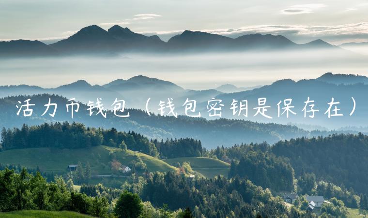 活力币钱包（钱包密钥是保存在）-第1张图片-欧易下载