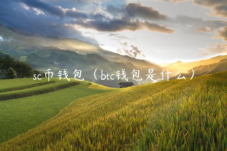 sc币钱包（btc钱包是什么）-第1张图片-欧易下载