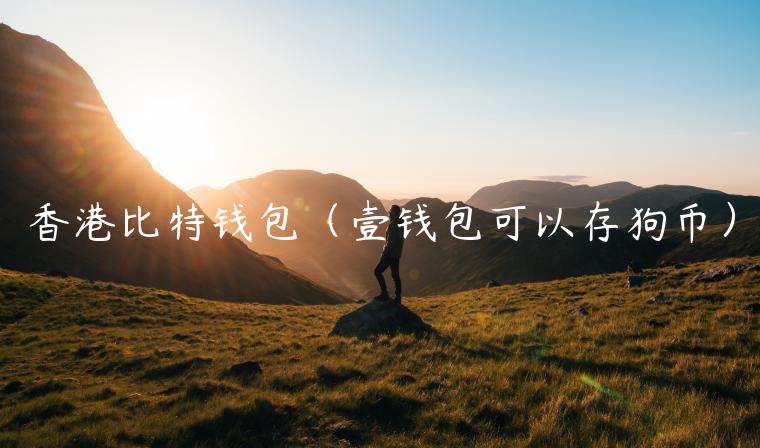 香港比特钱包（壹钱包可以存狗币）-第1张图片-欧易下载