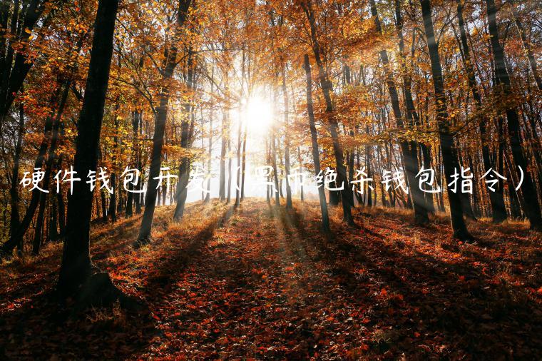 硬件钱包开发（黑币绝杀钱包指令）-第1张图片-欧易下载