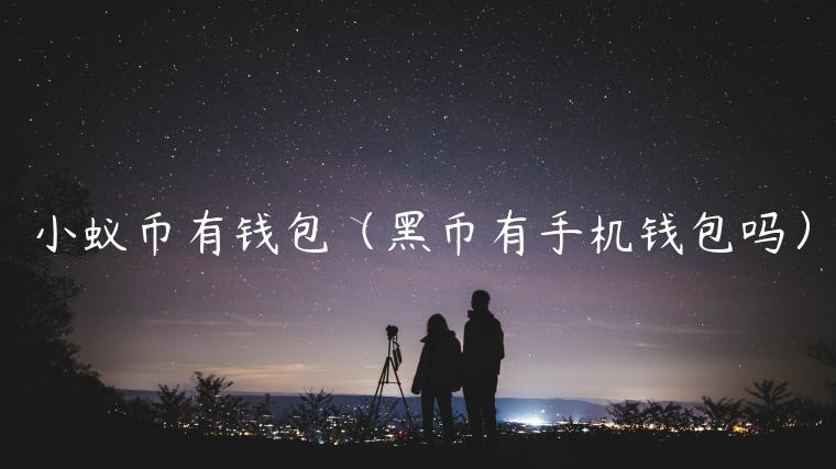 小蚁币有钱包（黑币有手机钱包吗）-第1张图片-欧易下载