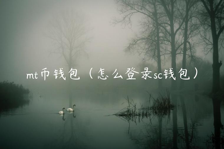mt币钱包（怎么登录sc钱包）-第1张图片-欧易下载
