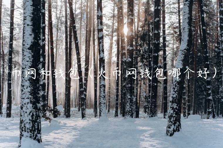 币网和钱包（火币网钱包哪个好）-第1张图片-欧易下载