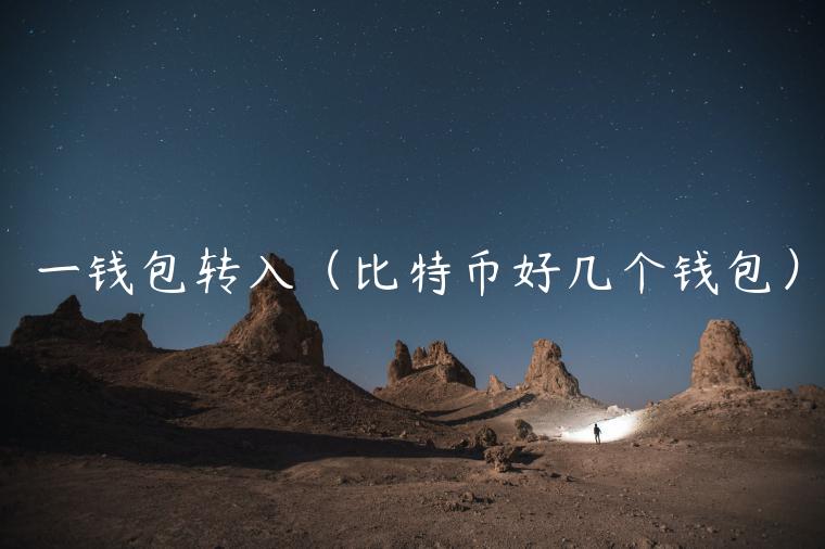 一钱包转入（比特币好几个钱包）-第1张图片-欧易下载