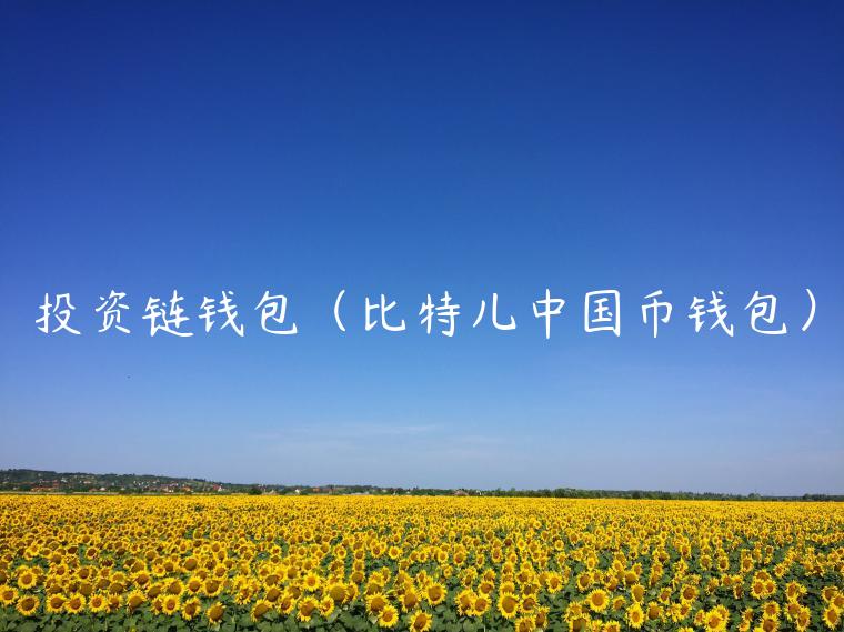 投资链钱包（比特儿中国币钱包）-第1张图片-欧易下载