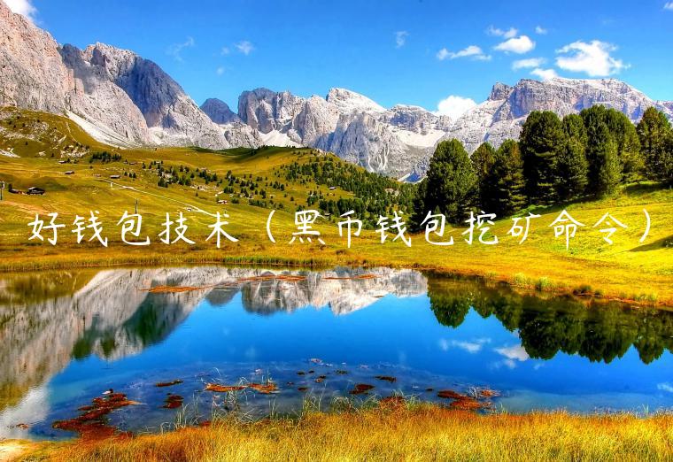 好钱包技术（黑币钱包挖矿命令）-第1张图片-欧易下载