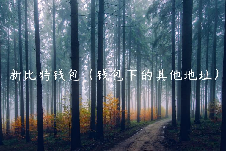 新比特钱包（钱包下的其他地址）-第1张图片-欧易下载
