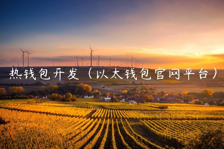 热钱包开发（以太钱包官网平台）-第1张图片-欧易下载