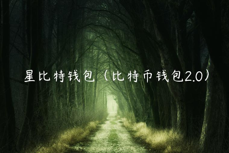 星比特钱包（比特币钱包2.0）-第1张图片-欧易下载