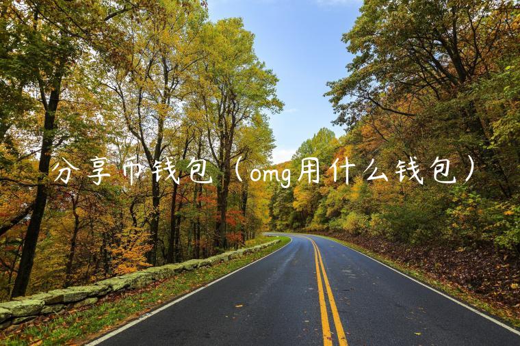 分享币钱包（omg用什么钱包）-第1张图片-欧易下载