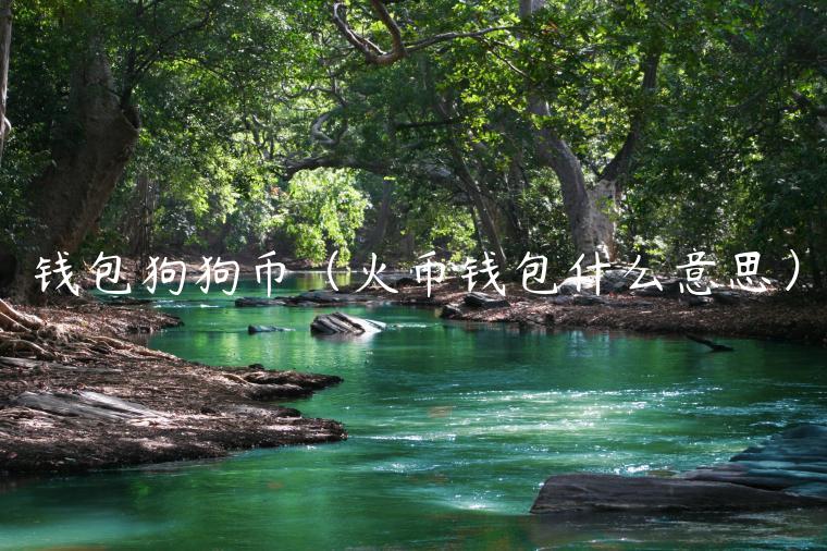 钱包狗狗币（火币钱包什么意思）-第1张图片-欧易下载