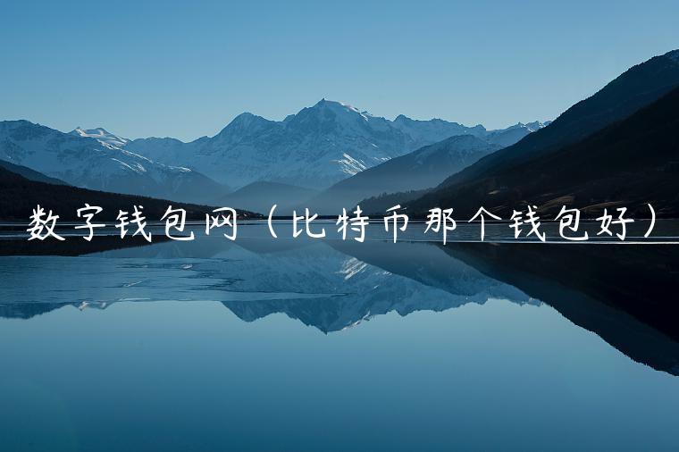 数字钱包网（比特币那个钱包好）-第1张图片-欧易下载