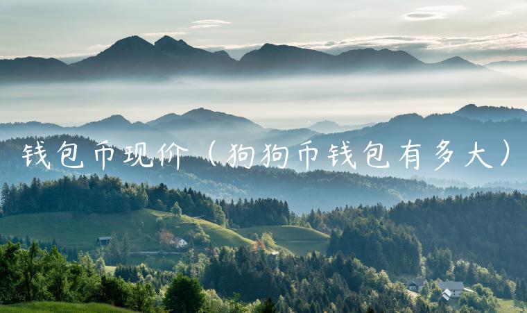 钱包币现价（狗狗币钱包有多大）-第1张图片-欧易下载