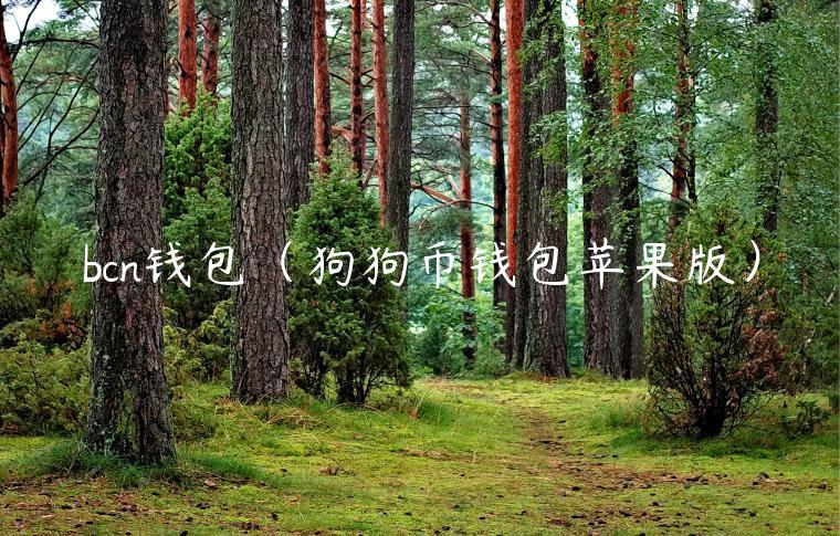 bcn钱包（狗狗币钱包苹果版）-第1张图片-欧易下载