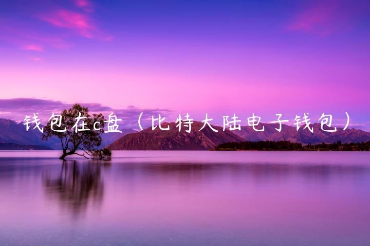 钱包在c盘（比特大陆电子钱包）-第1张图片-欧易下载