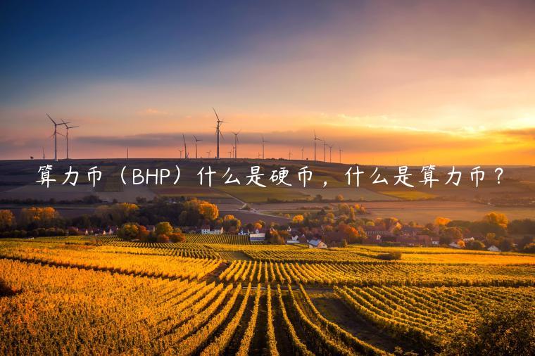 算力币（BHP）什么是硬币，什么是算力币？-第1张图片-欧易下载