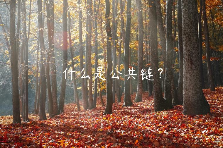 什么是公共链？-第1张图片-欧易下载