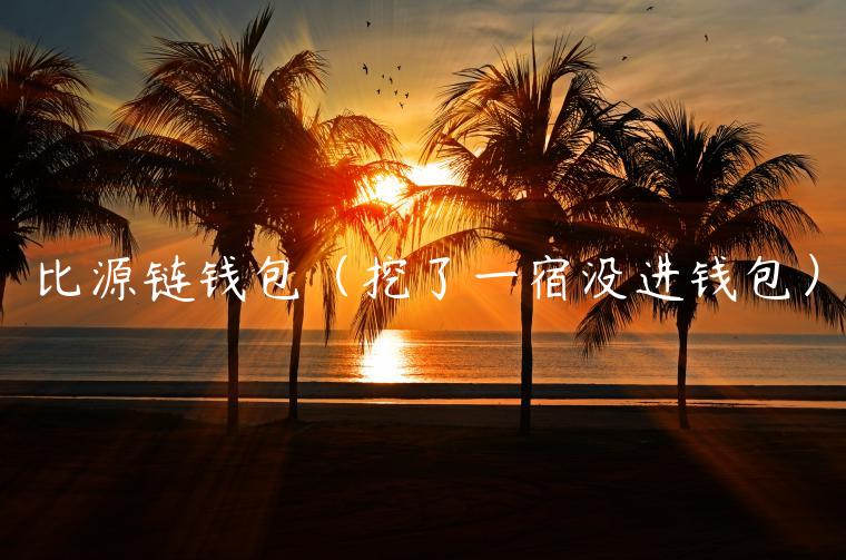 比源链钱包（挖了一宿没进钱包）-第1张图片-欧易下载