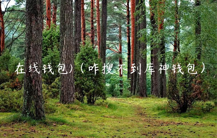 在线钱包（咋搜不到库神钱包）-第1张图片-欧易下载