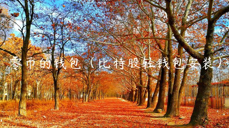 零币的钱包（比特股轻钱包安装）-第1张图片-欧易下载
