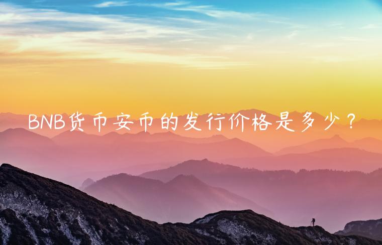 BNB货币安币的发行价格是多少？-第1张图片-欧易下载