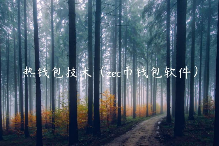 热钱包技术（zc币钱包软件）-第1张图片-欧易下载