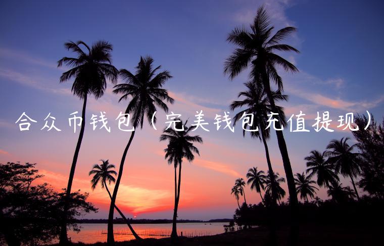 合众币钱包（完美钱包充值提现）-第1张图片-欧易下载