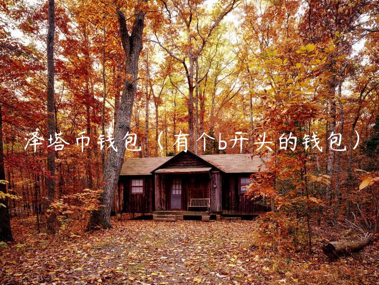 泽塔币钱包（有个b开头的钱包）-第1张图片-欧易下载