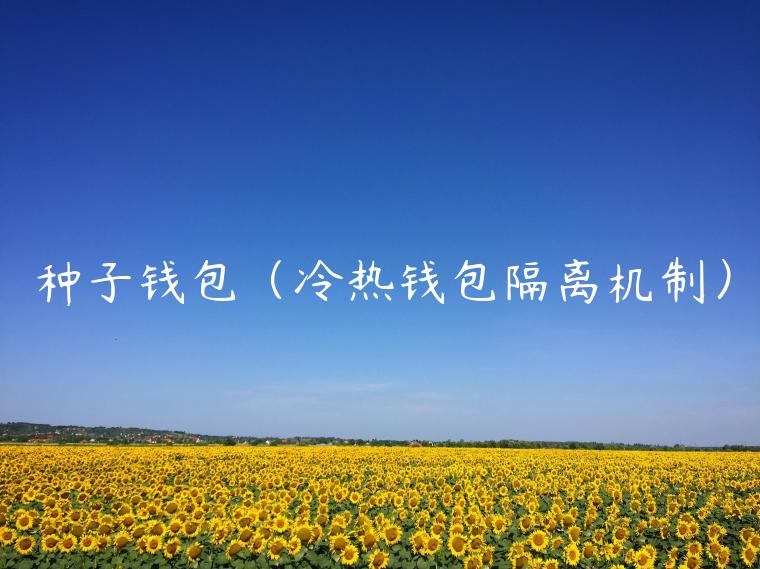 种子钱包（冷热钱包隔离机制）-第1张图片-欧易下载