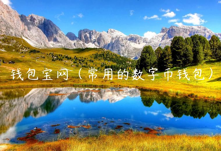 钱包宝网（常用的数字币钱包）-第1张图片-欧易下载