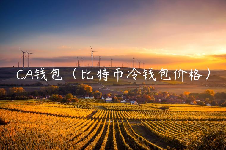 CA钱包（比特币冷钱包价格）-第1张图片-欧易下载