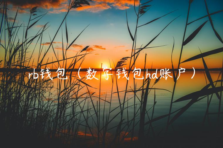 rb钱包（数字钱包hd账户）-第1张图片-欧易下载