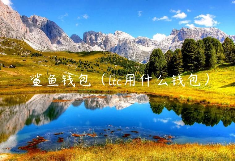 鲨鱼钱包（ltc用什么钱包）-第1张图片-欧易下载