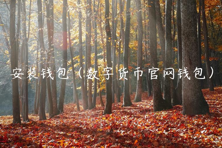 安装钱包（数字货币官网钱包）-第1张图片-欧易下载