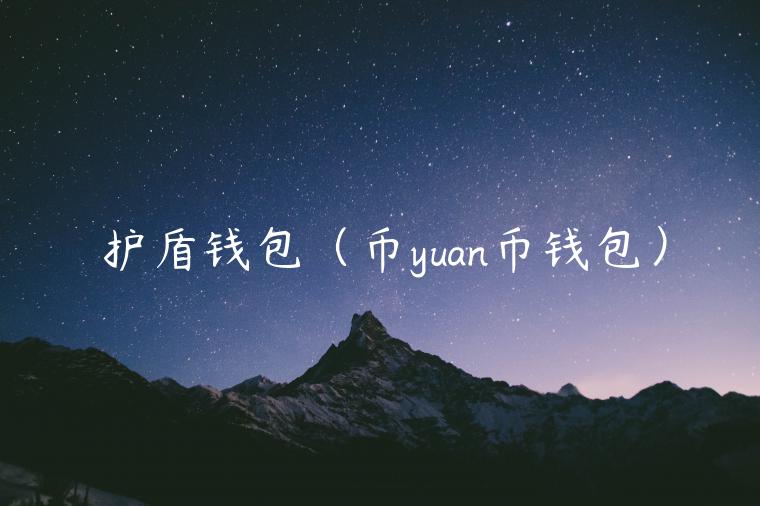 护盾钱包（币yuan币钱包）-第1张图片-欧易下载