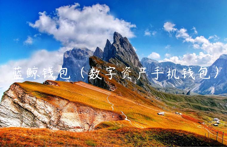 蓝鲸钱包（数字资产手机钱包）-第1张图片-欧易下载