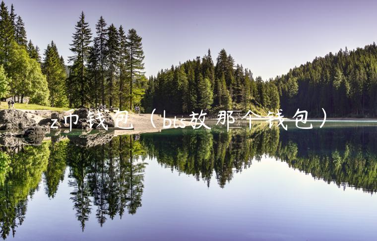z币钱包（bts放那个钱包）-第1张图片-欧易下载