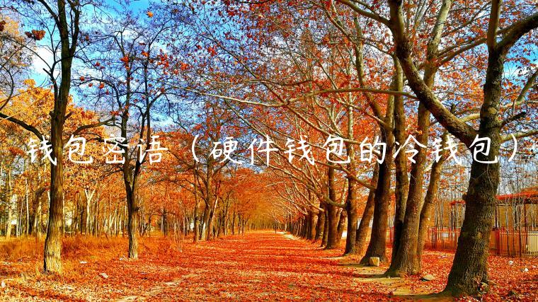 钱包密语（硬件钱包的冷钱包）-第1张图片-欧易下载