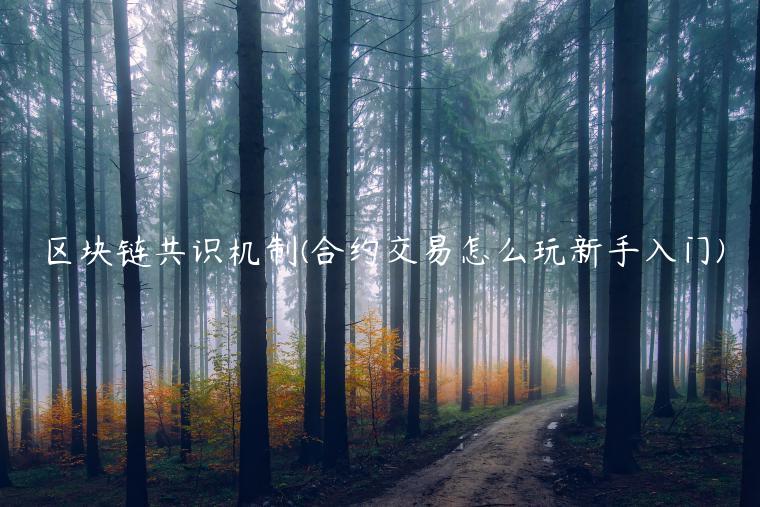区块链共识机制 - 合约交易怎么玩新手入门-第1张图片-欧易下载