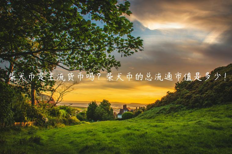 柴犬币是主流货币吗？柴犬币的总流通市值是多少！-第1张图片-欧易下载