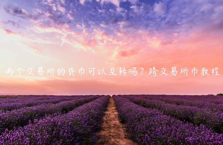 两个交易平台的货币可以互转吗？跨交易平台币教程-第1张图片-欧易下载