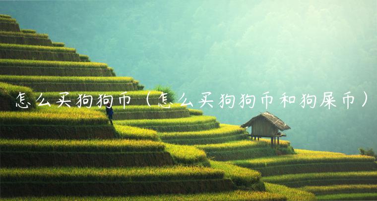 怎么买狗狗币（怎么买狗狗币和狗屎币）-第1张图片-欧易下载