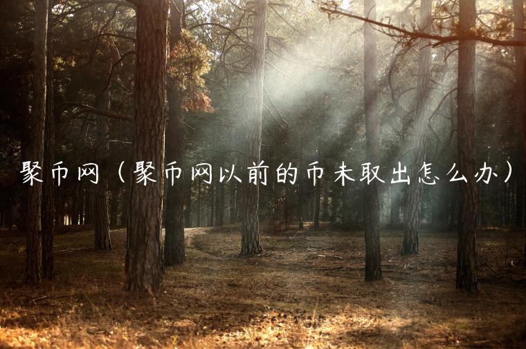 聚币网（聚币网以前的币未取出怎么办）-第1张图片-欧易下载