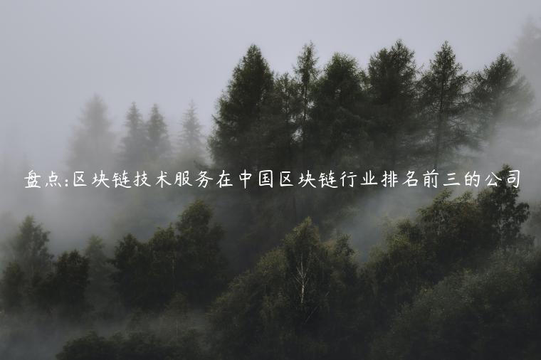 盘点:区块链技术服务在中国区块链行业排名前三的公司-第1张图片-欧易下载