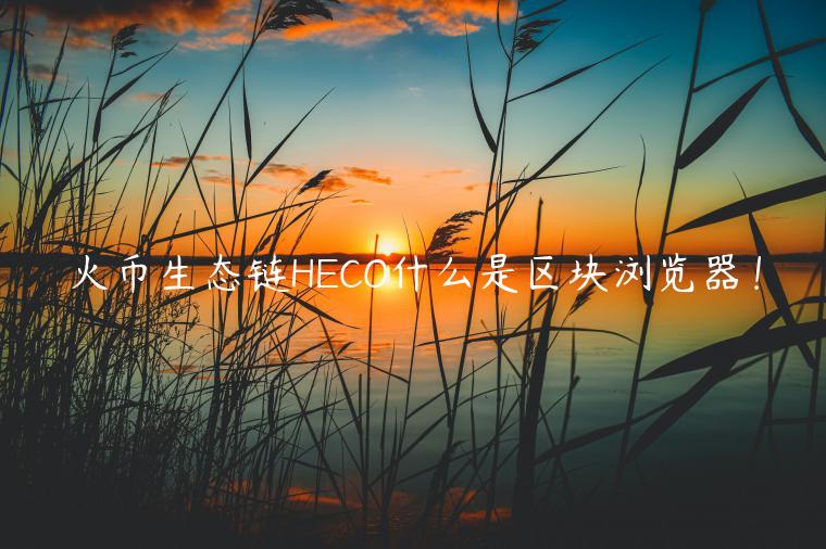 火币生态链HCO什么是区块浏览器！-第1张图片-欧易下载