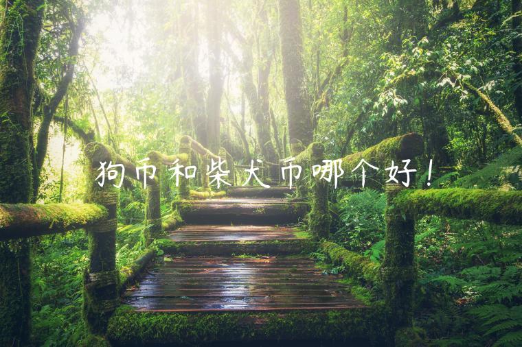 狗币和柴犬币哪个好！-第1张图片-欧易下载
